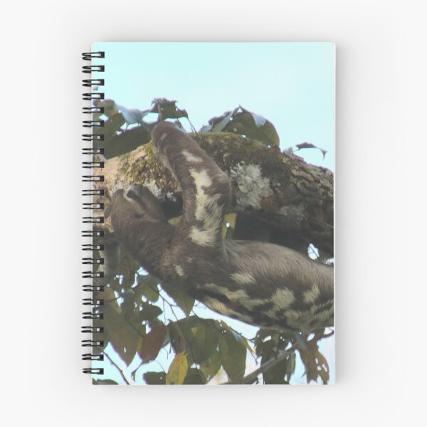 Item preview, Sloth designed and sold by Melville.Collective.