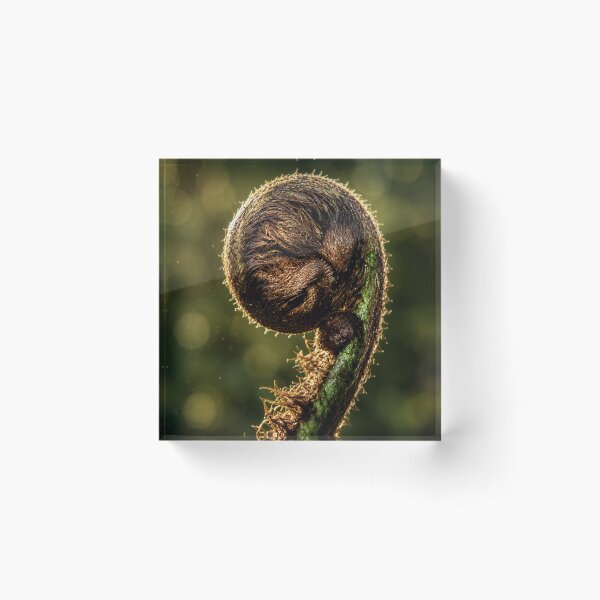 Item preview, New Beginnings designed and sold by Bosnich-Wood Photography.