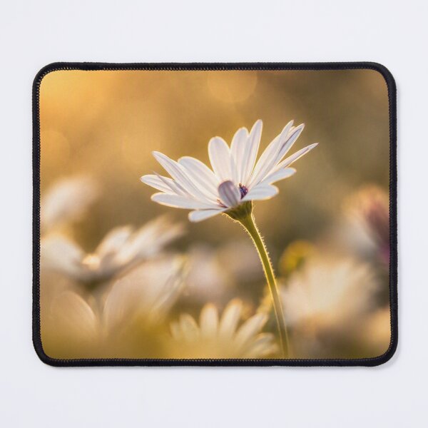 Item preview, Shoreline Light designed and sold by Bosnich-Wood Photography.