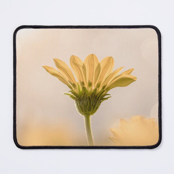 Item preview, Evening Glow designed and sold by Bosnich-Wood Photography.