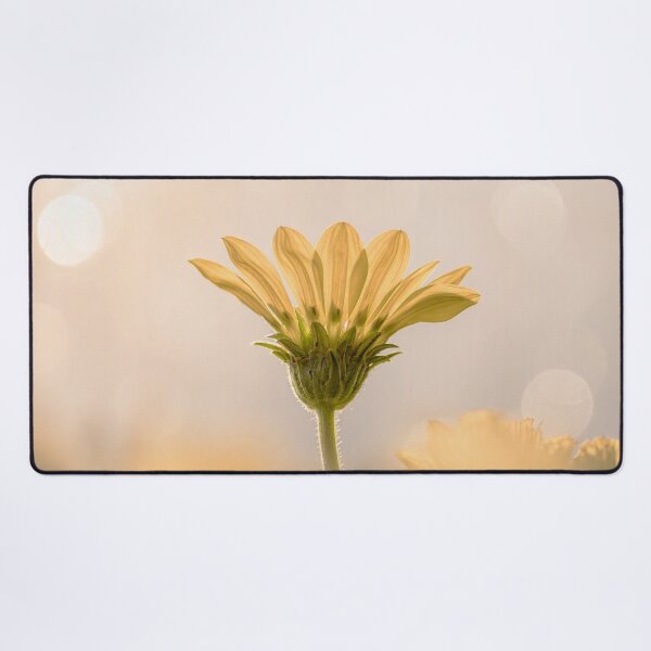 Item preview, Evening Glow designed and sold by Bosnich-Wood Photography.
