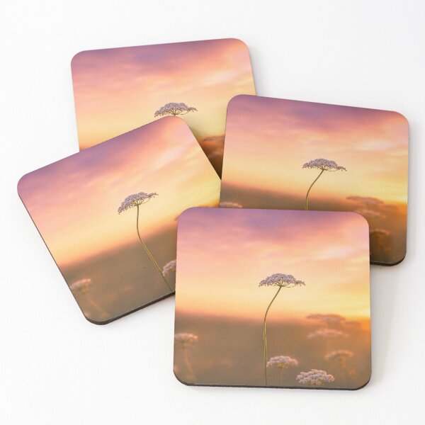 Item preview, Paddock Sunset designed and sold by Bosnich-Wood Photography.