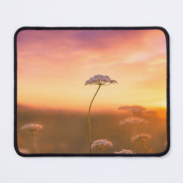 Item preview, Paddock Sunset designed and sold by Bosnich-Wood Photography.