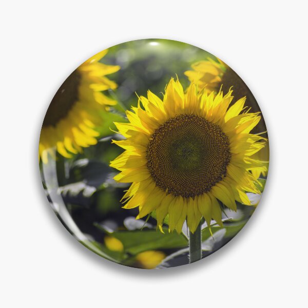 Item preview, Sunflower Graceful Beauty designed and sold by MoePhotography.
