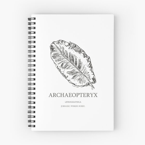 Item preview, Archaeopteryx Lithographica Feather Fossil - Minimalist Linocut Paleontology designed and sold by cyareq.
