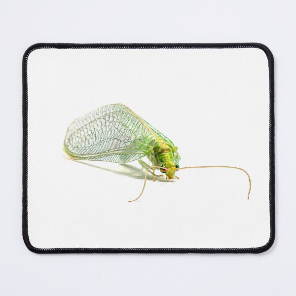 Item preview, Green Lacewing Insect Macro Isolation designed and sold by MariaAbaza.