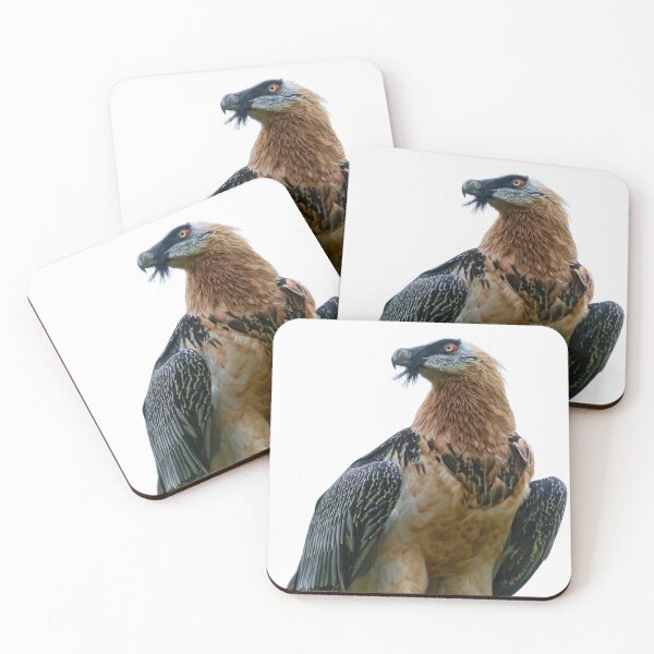Item preview, Bearded Vulture (LOW RES) designed and sold by Fire TheMann.