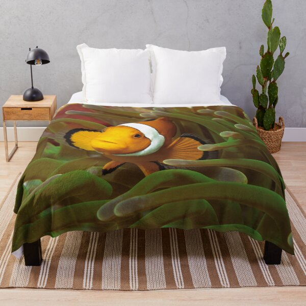 Item preview, Curious Clownfish in Green Anemone * Raja Ampat Photo |  designed and sold by Photo & Design Ute Niemann.