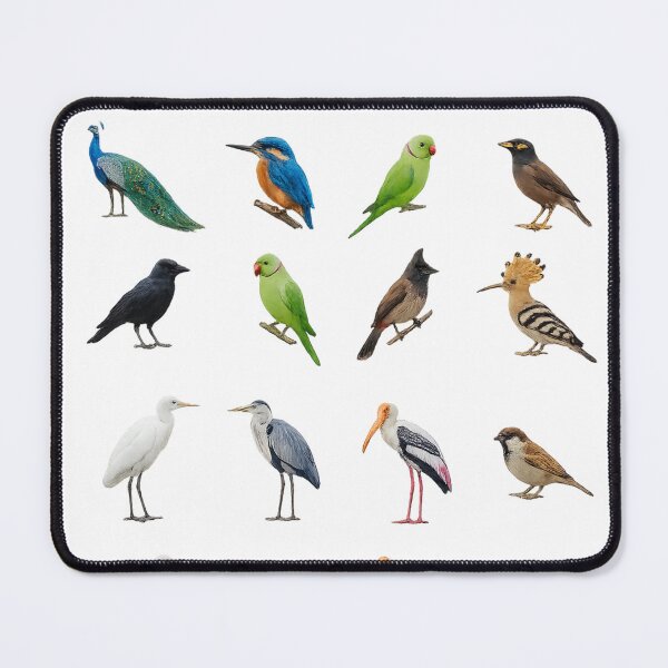 Item preview, Indian Birds Collection Peacock Kingfisher Hoopoe Sparrow Aesthetic designed and sold by Rehnair.