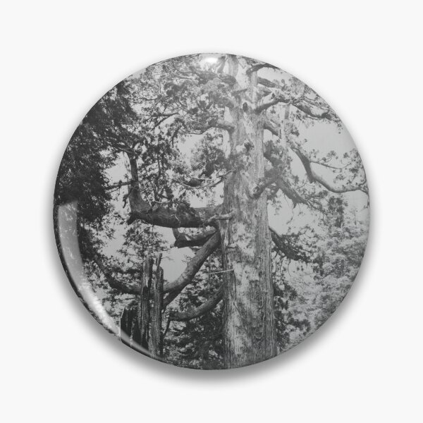 Item preview, Grizzly Giant sequoia tree, Mariposa Grove, Yosemite National Park, 1861 vintage fine art black and white print by Carleton E. Watkins designed and sold by Astrid Arkhangelsky.