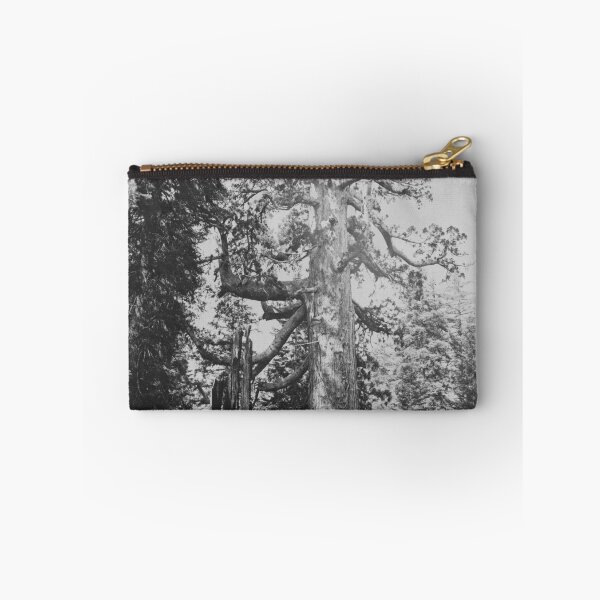 Item preview, Grizzly Giant sequoia tree, Mariposa Grove, Yosemite National Park, 1861 vintage fine art black and white print by Carleton E. Watkins designed and sold by Astrid Arkhangelsky.