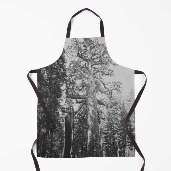 Item preview, Grizzly Giant sequoia tree, Mariposa Grove, Yosemite National Park, 1861 vintage fine art black and white print by Carleton E. Watkins designed and sold by Astrid Arkhangelsky.