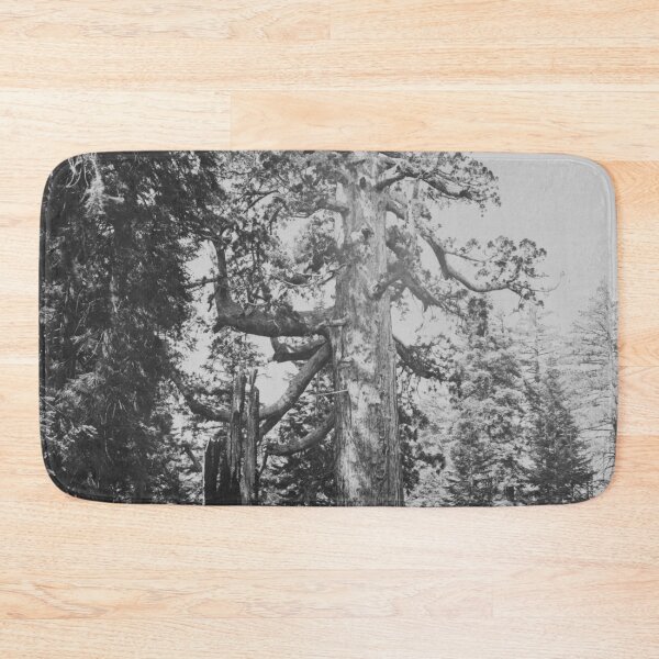Item preview, Grizzly Giant sequoia tree, Mariposa Grove, Yosemite National Park, 1861 vintage fine art black and white print by Carleton E. Watkins designed and sold by Astrid Arkhangelsky.