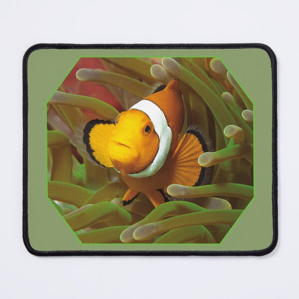 Item preview, Geometric Clownfish Octagon * Graphic Underwater Art |  designed and sold by Photo & Design Ute Niemann.