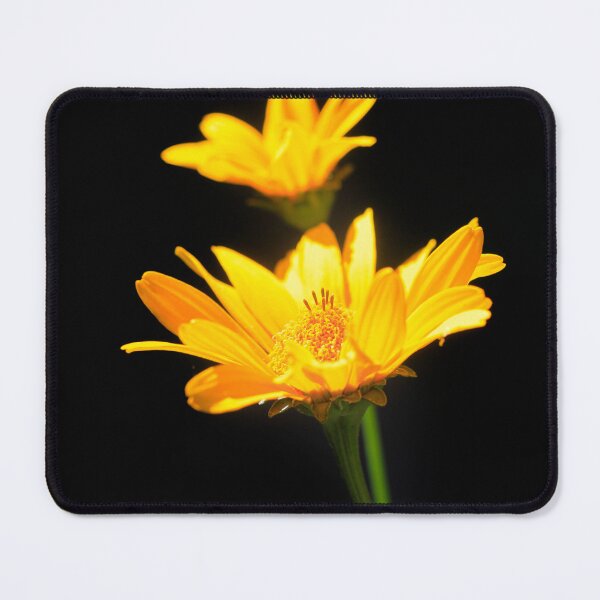 Item preview, Orange flowers on black background designed and sold by olena2552.