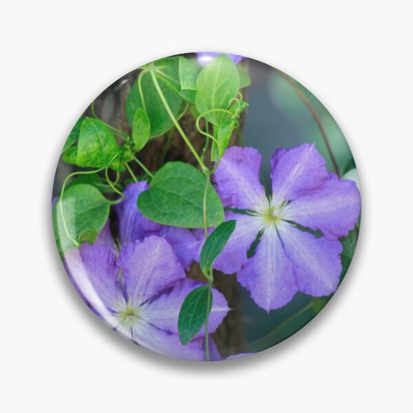Item preview, Purple phisalis on summer tree designed and sold by olena2552.