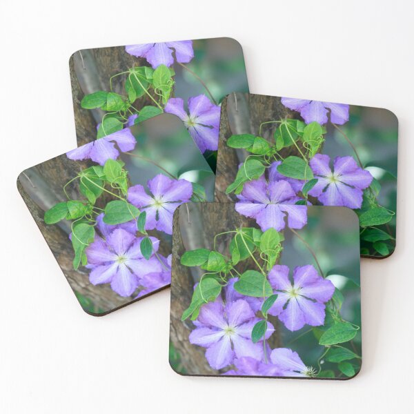 Item preview, Purple phisalis on summer tree designed and sold by olena2552.