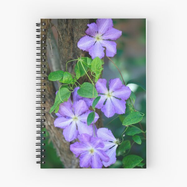 Item preview, Purple phisalis on summer tree designed and sold by olena2552.