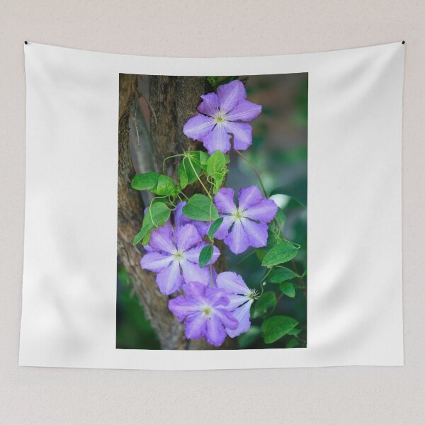 Item preview, Purple phisalis on summer tree designed and sold by olena2552.