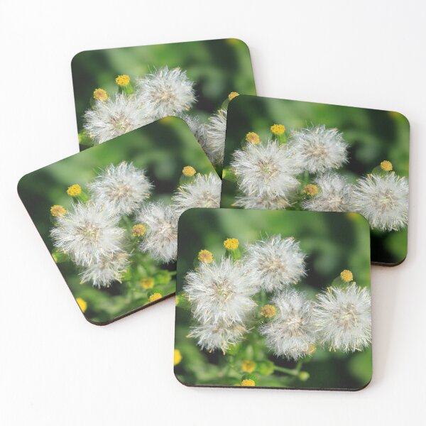 Item preview, Fluffy flowers in summer park designed and sold by olena2552.