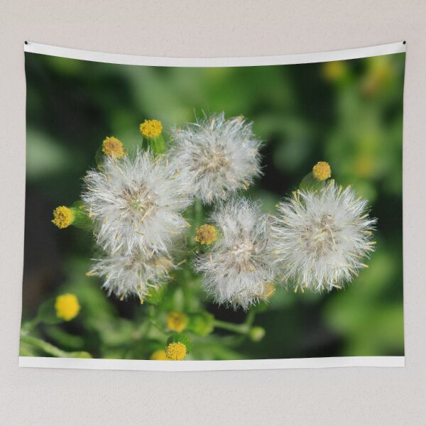 Item preview, Fluffy flowers in summer park designed and sold by olena2552.