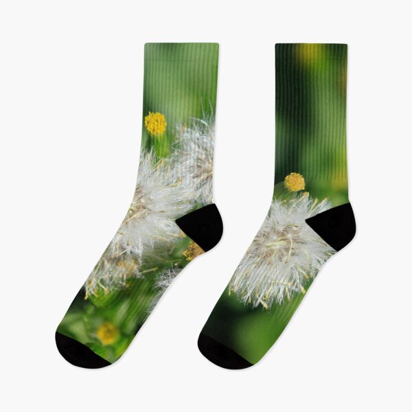 Item preview, Fluffy flowers in summer park designed and sold by olena2552.