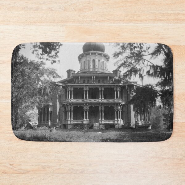 Item preview, Nutt's Folly mansion Natchez, Mississippi historic Spanish moss fine art black and white vintage photograph circa 1938 by Frances Benjamin Johnston designed and sold by Astrid Arkhangelsky.