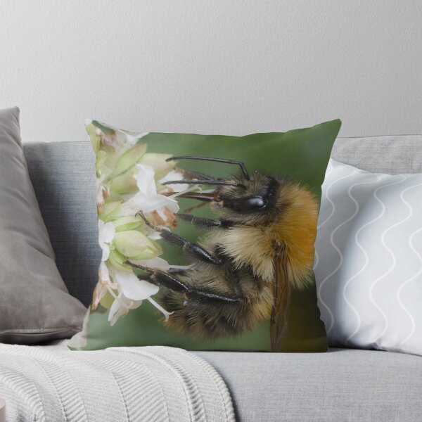 Item preview, busy bumble bee designed and sold by Geordie Jason.