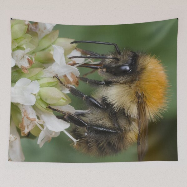 Item preview, busy bumble bee designed and sold by Geordie Jason.