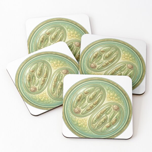 Item preview, Trust Me It's Cyclospora – Funny Microbiology Parasitology Science  designed and sold by otaku.edwardj.
