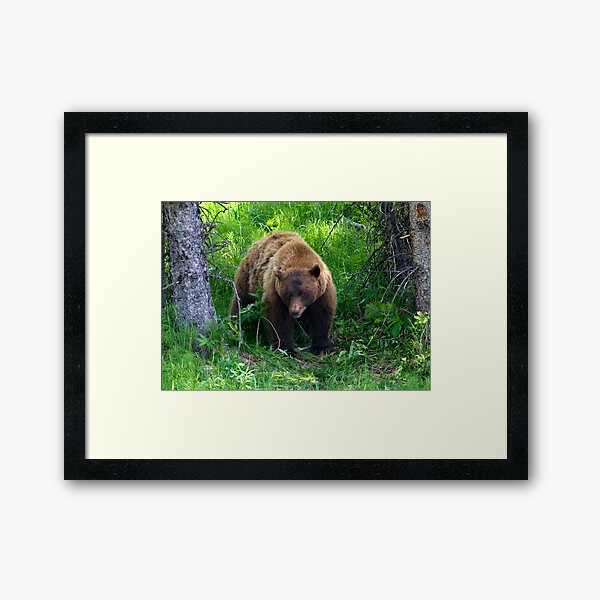 Under Suspicion Framed Art Print
