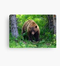 Under Suspicion Canvas Print