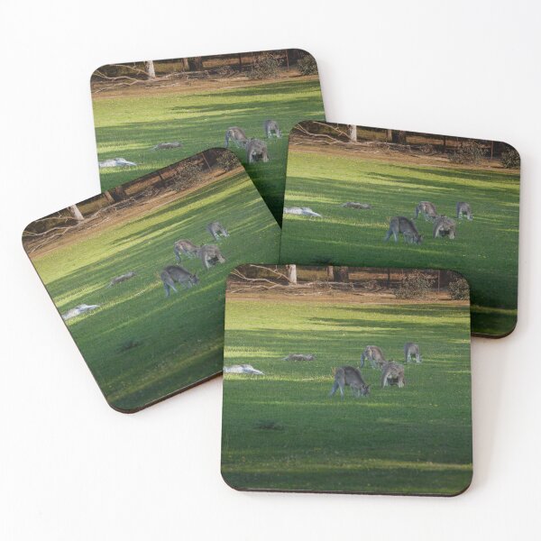 Item preview, Eastern Grey Kangaroos Grazing at Dusk – Fine Art Canvas Print designed and sold by MinzMarchStudio.