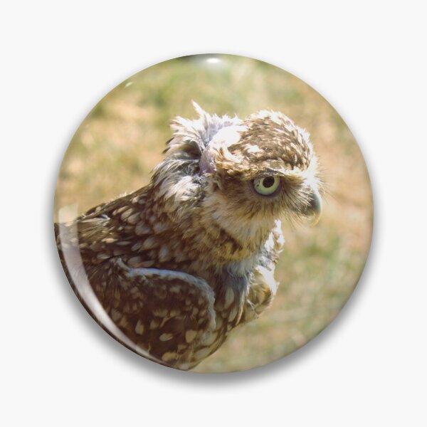Item preview, Burrowing owl photograph designed and sold by Natimo-Studio.