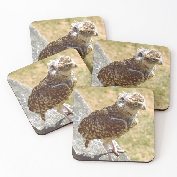 Item preview, Burrowing owl photograph designed and sold by Natimo-Studio.
