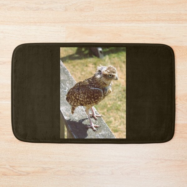 Item preview, Burrowing owl photograph designed and sold by Natimo-Studio.
