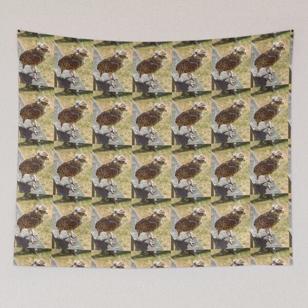 Item preview, Burrowing owl photograph designed and sold by Natimo-Studio.