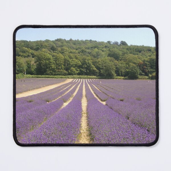 Item preview, Lavender Fields 2 designed and sold by GooglyEyes-.