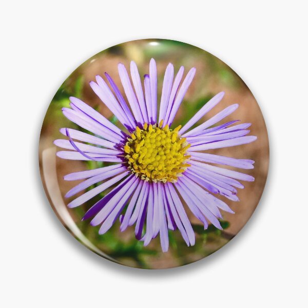 Item preview, Outback Wildflower designed and sold by Likoca Photography.