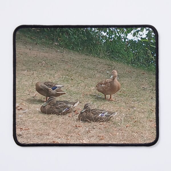 Item preview, Ducks designed and sold by GooglyEyes-.