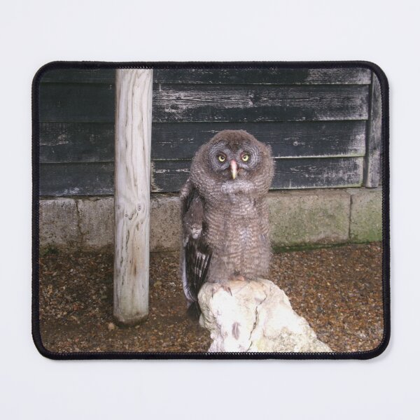 Item preview, Owl designed and sold by GooglyEyes-.