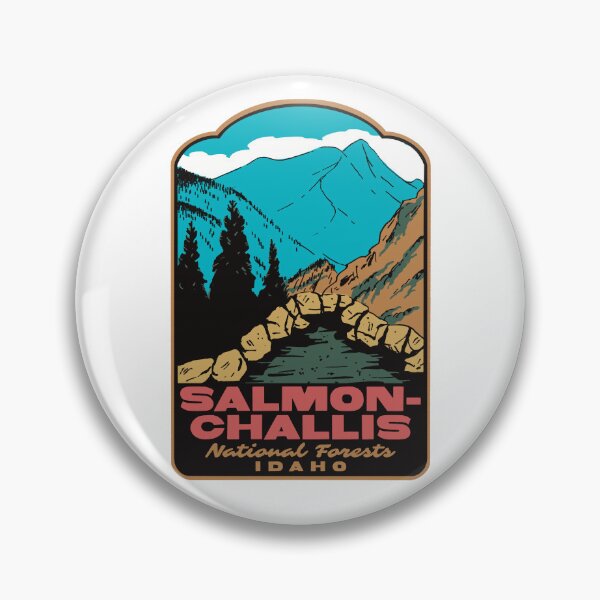 Item preview, Goldbug Hot Springs Salmon Challis National Forest Poster designed and sold by HalpinDesign.