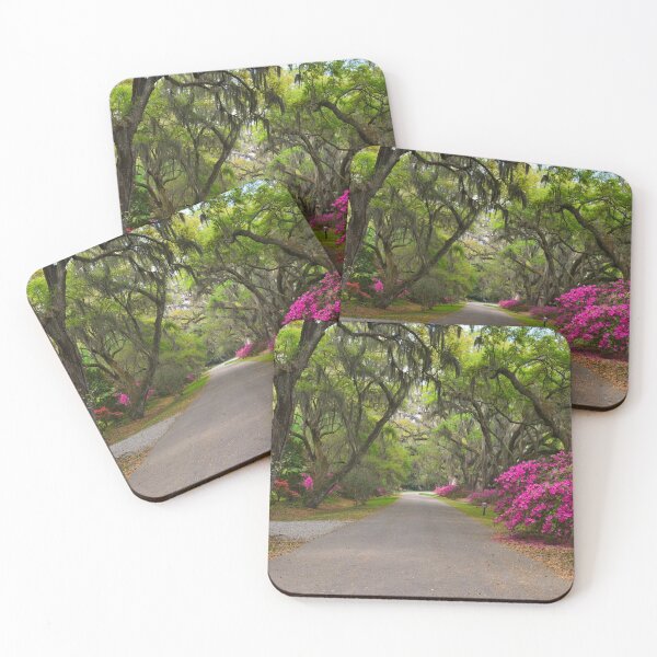 Item preview, Azaleas And Oaks Magnolia Plantation Gardens designed and sold by LisaWootenPhoto.