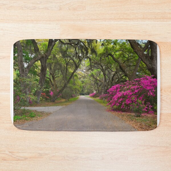 Item preview, Azaleas And Oaks Magnolia Plantation Gardens designed and sold by LisaWootenPhoto.