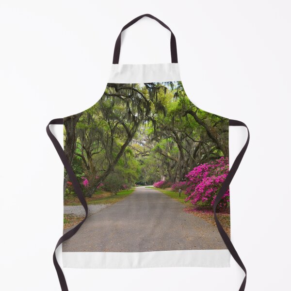 Item preview, Azaleas And Oaks Magnolia Plantation Gardens designed and sold by LisaWootenPhoto.