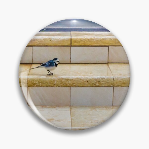 Item preview, Small Bird Walking on Tiled Steps in Urban Interior With Soft Light and Minimalist Composition designed and sold by Nmallia.