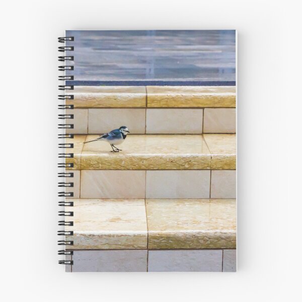 Item preview, Small Bird Walking on Tiled Steps in Urban Interior With Soft Light and Minimalist Composition designed and sold by Nmallia.