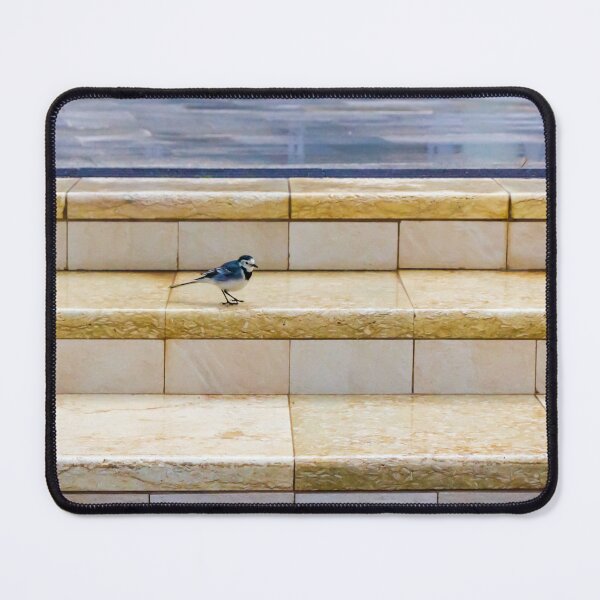 Item preview, Small Bird Walking on Tiled Steps in Urban Interior With Soft Light and Minimalist Composition designed and sold by Nmallia.