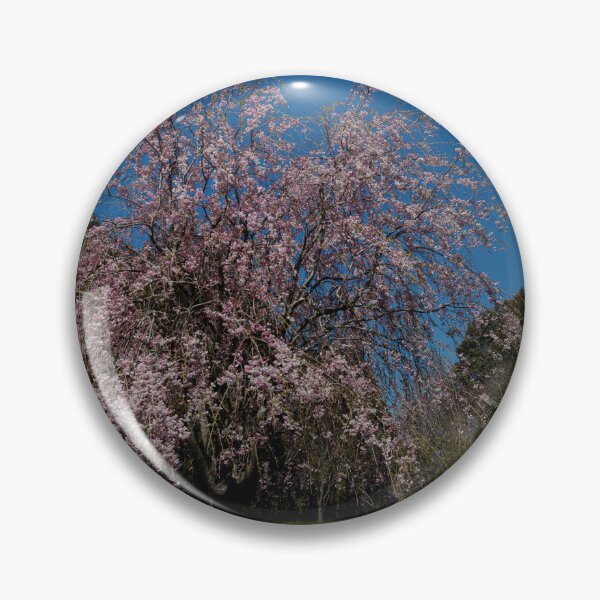 Item preview, China Airlines B747 with Weeping Cherry Blossoms designed and sold by YSJapanPhoto.