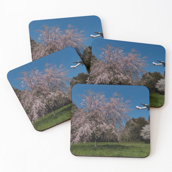 Item preview, China Airlines B747 with Weeping Cherry Blossoms designed and sold by YSJapanPhoto.